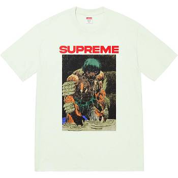 Camiseta Supreme Ronin Tee Verde Menta | CL238KI