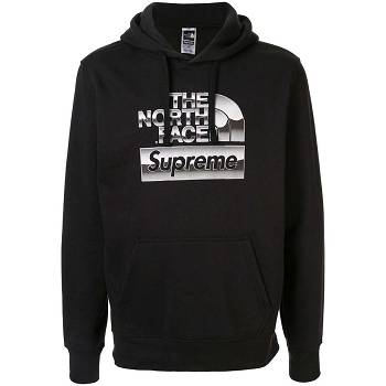 Sudaderas Supreme X The North Face lic Logo Encapuchado Metal | CL254IS